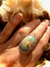 Royston Boulder Turquoise and Sterling Silver Ring 8